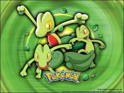 Quelles sont les évolutions de ce starter ?