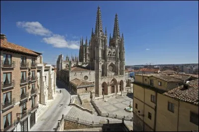 Cette ville de la Vieille-Castille, de tradition conservatrice, située sur un plateau à près de 900 m d'altitude, est exposée aux rigueurs des vents froids. Elle possède une grande cathédrale gothique, où repose la dépouille de Rodrigo Diaz de Vivar, surnommé le Cid Campeador. Quelle est cette ville ?