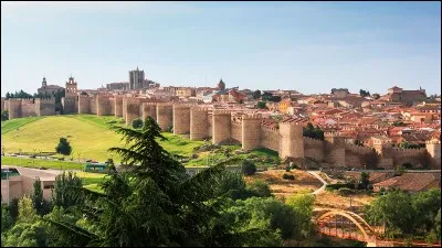 C'est l'une des plus belles villes fortifiées d'Europe : elle est entourée d'une impressionnante muraille, construite au XIIe siècle, comptant 88 tours et 9 portes. Quelle est cette ville ?