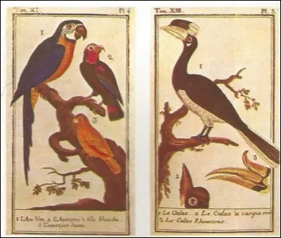 Sous quel nom est plus connu Georges Louis Leclerc ?