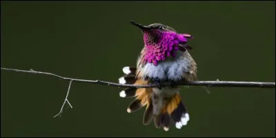 Chanson de Stephane Eicher : ... de temps !