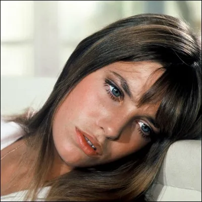Jane Birkin a chant&eacute; (entre autres)...