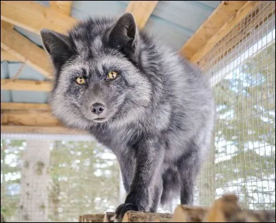 Et lui, qui est-ce ?