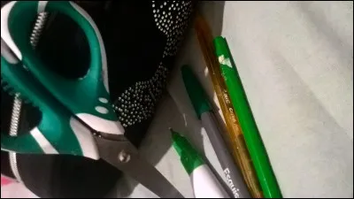 Ta matière préférée à l'école, c'est...