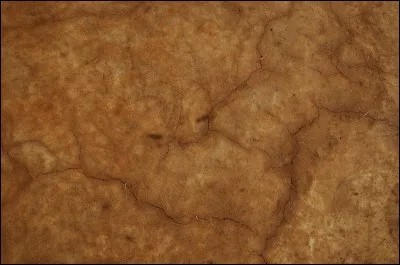 Quelle est la plus grande peur de Newt ?