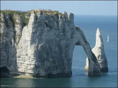 Combien de fois Newt essaie-t-il de se suicider ?