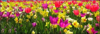 Quel est le nom du tome 2 ?