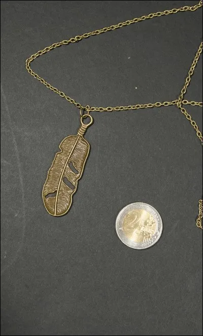 Que tient-elle dans sa main en arrivant ?