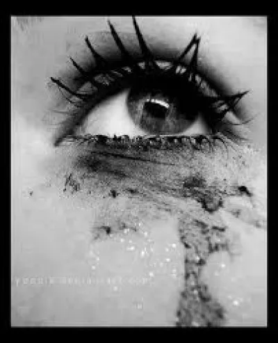 À chaque jour suffit sa :