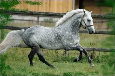 Quelle est cette robe ?