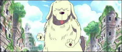 &Eacute;pisode 176 - Qu'est-ce qui est vrai concernant ce chien ?(2 r&eacute;ponses)