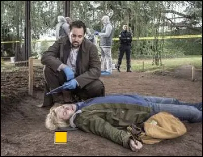 Le petit numéro à côté du corps indiquant les pièces à convictions et autres preuves est le...