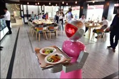 Aux États-Unis, au Japon, en Allemagne et même en France, des restaurants sans serveur tentent de séduire les consommateurs. Une nouvelle tendance "food tech" dans laquelle le service a été robotisé. Mais puis-je savoir dans quelle ville française apparaît le tout premier robot serveur français ?