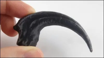 Pour toi c'est quoi ?