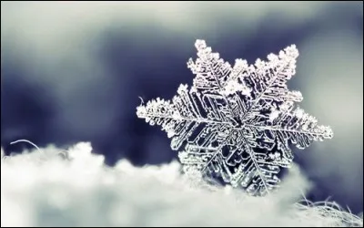 Quelle est la couleur de la neige ?