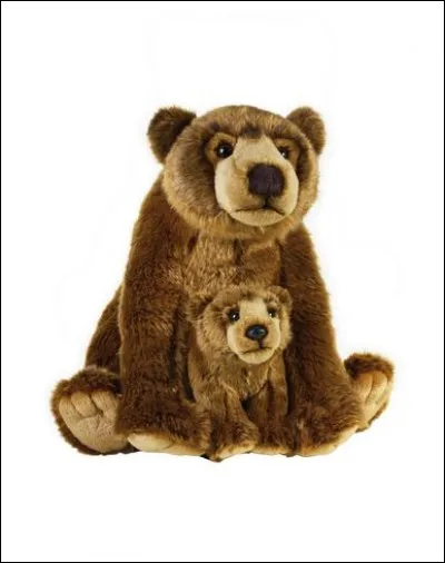 Quelle est la couleur de ces oursons ?