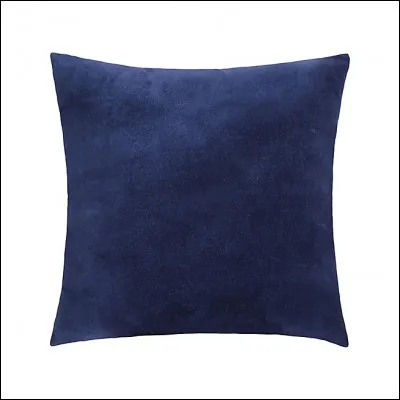 Quelle est la couleur de ce coussin ?