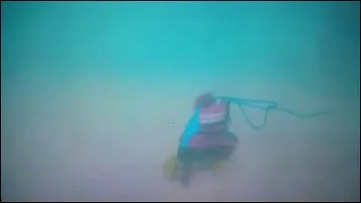 Qui a jeté les patins de Luna dans la mer ?