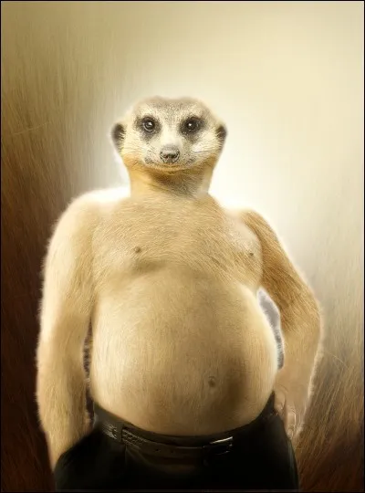 Où peuvent bien habiter ces bestioles ?