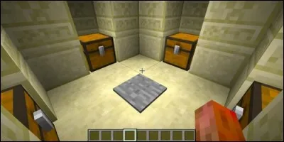 Attention ! Surtout n'atterrissez pas sur la plaque lourde ! Pourquoi ?