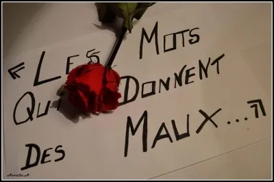 Quel est le mot qui raisonne le plus en toi ?