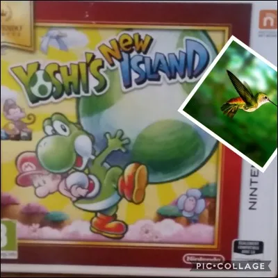 Sur quelle console se trouve ce jeu vidéologique ?