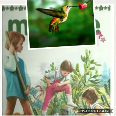 Quel est le titre de ce livre "Martine" ?