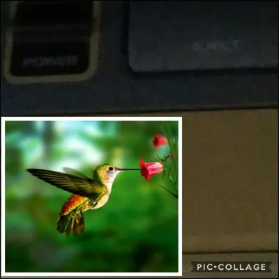 Le top des années 1990, c'est :