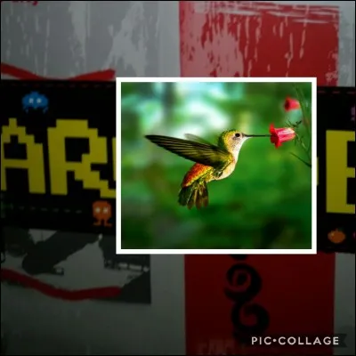 Quel est le mot entier ?