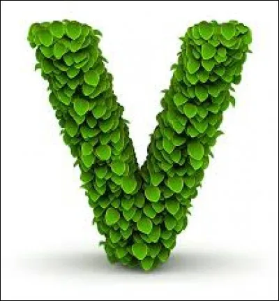 Que signifie le "V" dans le sigle IVG ?