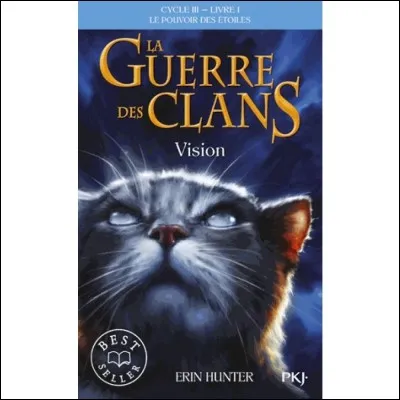 Quelle est la dernière phrase de "Vision" ?