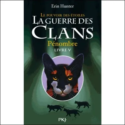 Quelle est la dernière phrase de "Pénombre" ?