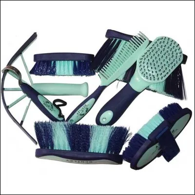 Dans quel ordre doit-on brosser le cheval ?