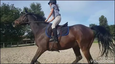 De quel côté monte-t-on ?