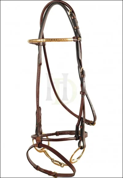 Comment s'appelle ce qui se met dans la bouche ?