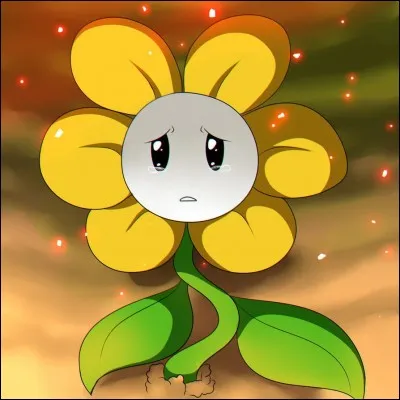 De quoi est fait Flowey ?