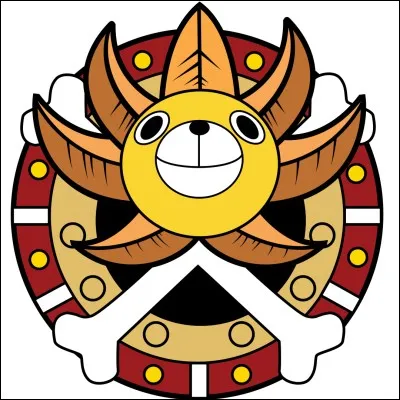 Comment se nomme le coup de canon fétiche du Thousand Sunny ?