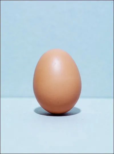 Il y avait un oeuf sur le bateau de Gold D. Roger.