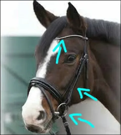 Qu'indiquent les flèches ?