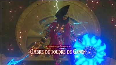 Donnez le nom anglais de "L'ombre de foudre de Ganon".