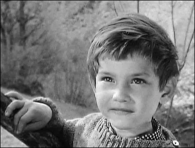 Qui interprétait le rôle de Sébastien ?