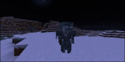 Si vous êtes de style montagnard, prenez garde aux :