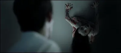 Quel est le film asiatique qui a été remaké aux Etats-Unis ?