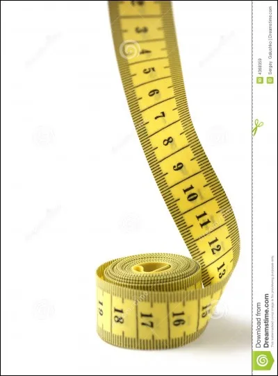 Quel oiseau a la plus grande envergure?