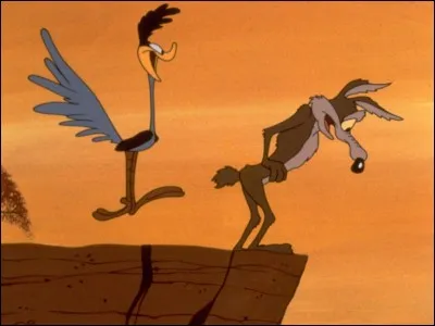Dans le dessin animé Bip Bip et Coyote, de quelle race d'oiseau est Bip-Bip ?