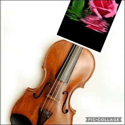 Quel est le nom de cet instrument de musique ?