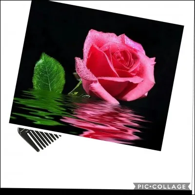 On va avoir la classe !