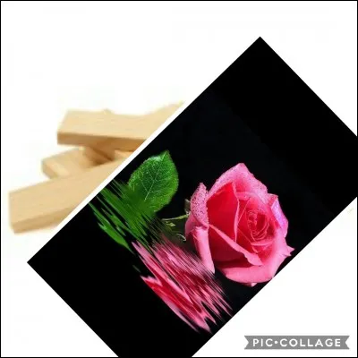 Retour à la crèche, que trouve-t-on ?