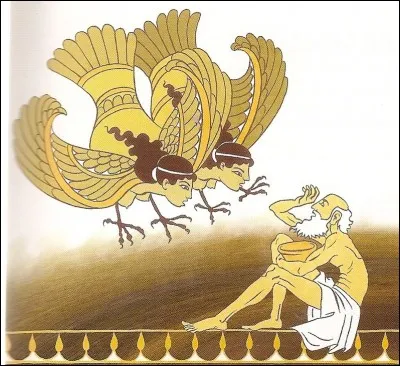 Le roi aveugle Phinée a été puni par les dieux car... (Une seul réponse)