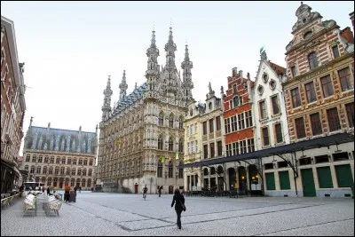 Voici l'hôtel de ville, chef-d'oeuvre du gothique flamboyant de cette cité du Brabant, connue comme ville universitaire et aussi comme capitale belge de la bière. Quelle est cette ville ?